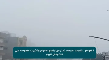 5 ظواهر.. تقلبات الأرصاد تحذر من ارتفاع الأمواج وتأثيرات ملموسة على الشواطئ اليوم